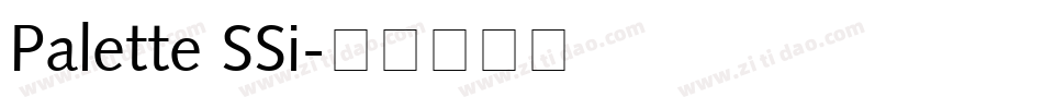 Palette SSi字体转换